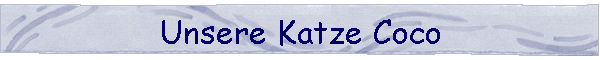 Unsere Katze Coco