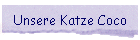Unsere Katze Coco